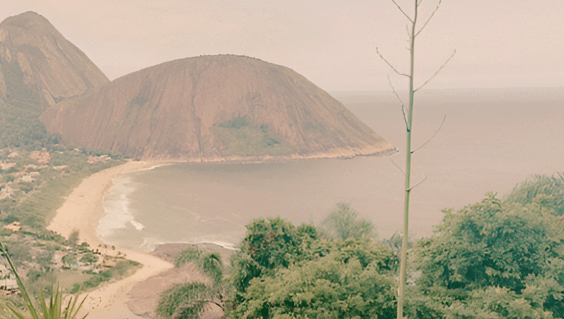 Rodriguésia publica volume especial com estudos apresentados no 7º Simpósio Fluminense sobre Produtos Naturais