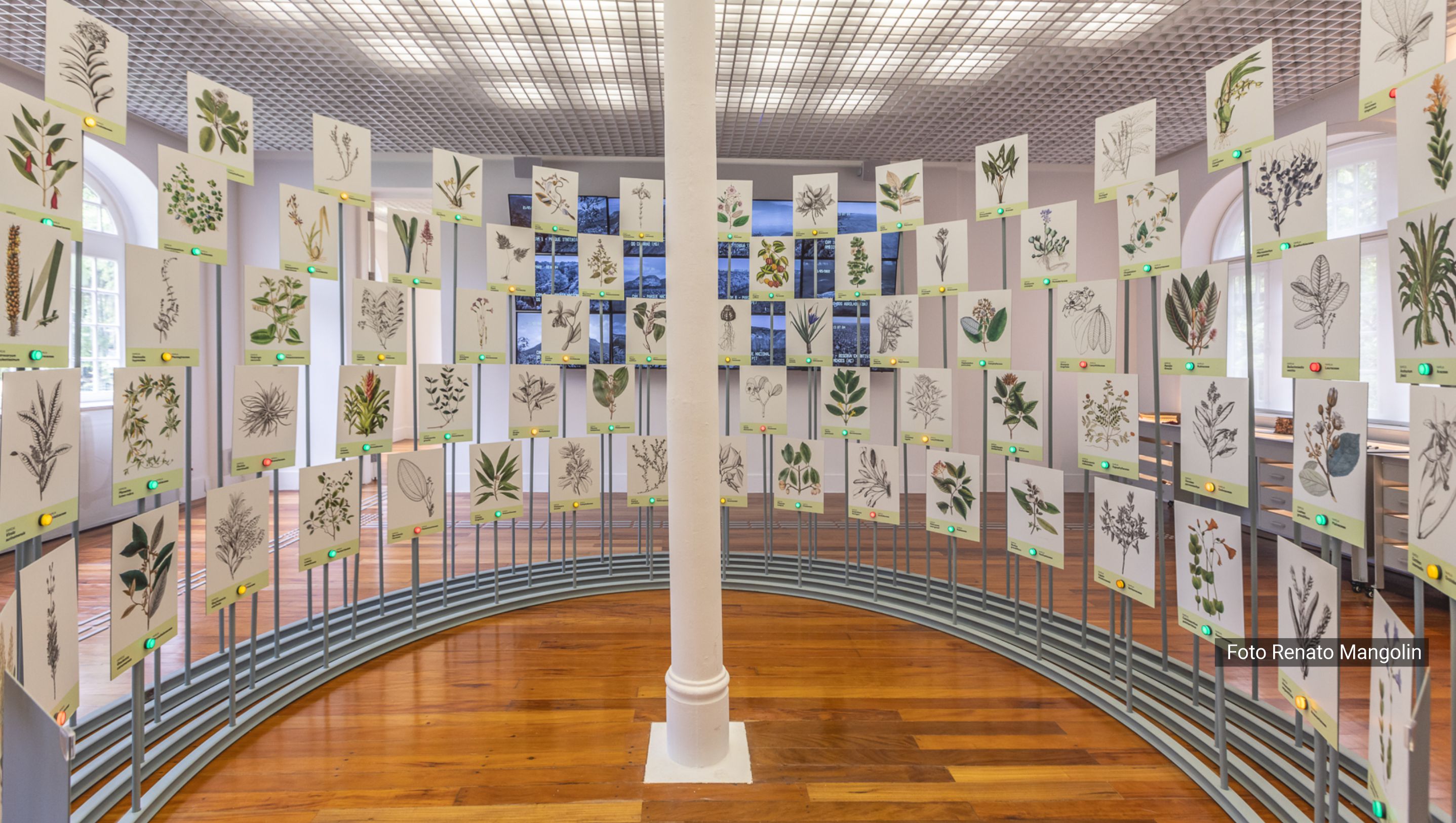 Museu do Jardim Botânico abre ao público em 8 de março