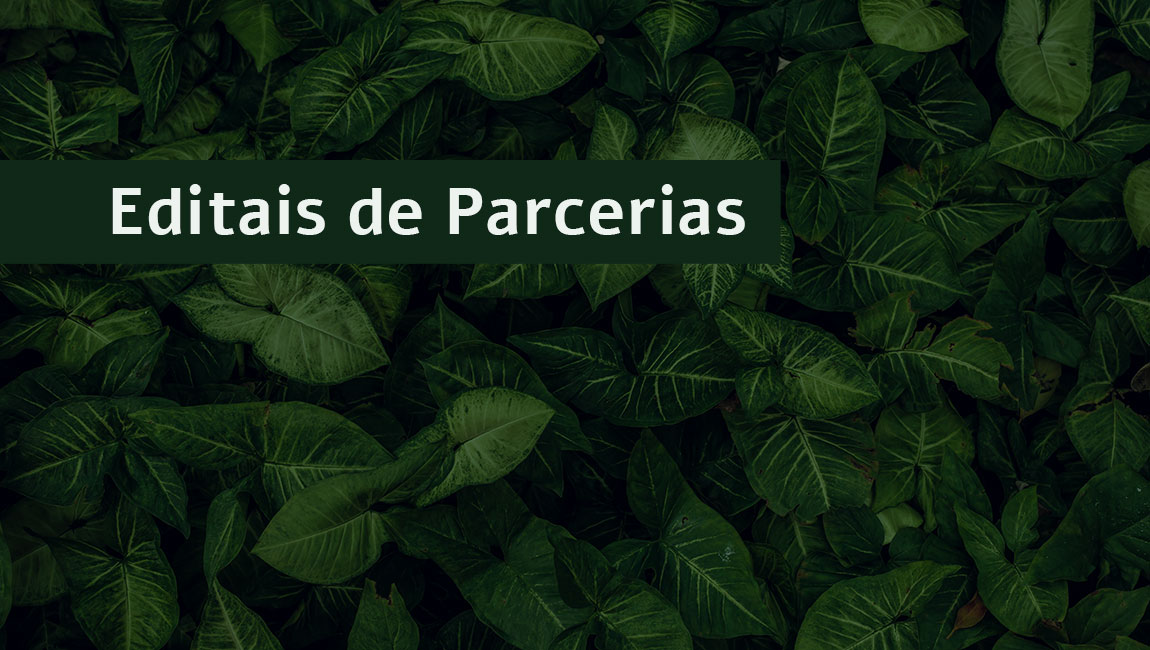 Jardim Botânico do Rio de Janeiro divulga editais de chamamento público de parcerias