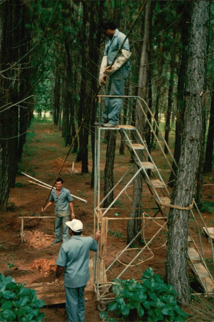 Acervo LAPOC Anos 80 e 90 - 52