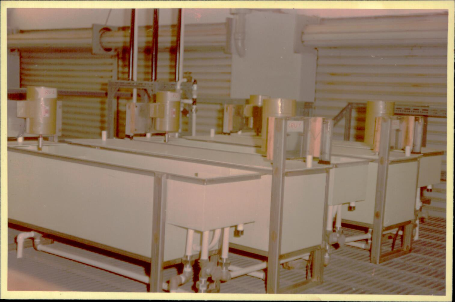 Acervo LAPOC Anos 80 e 90 - 68