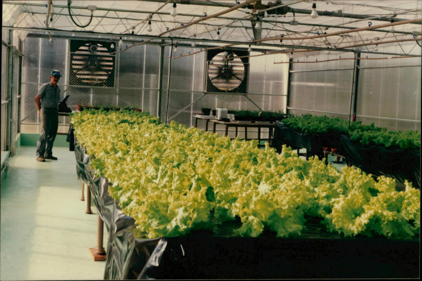 Acervo LAPOC Anos 80 e 90 - 85