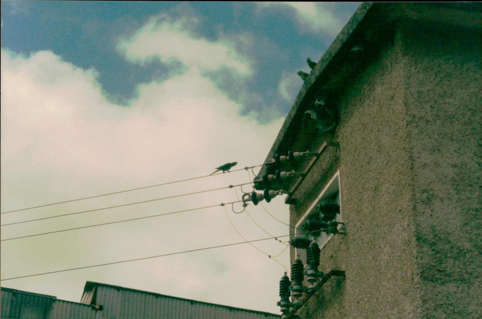 Acervo LAPOC Anos 80 e 90 - 87