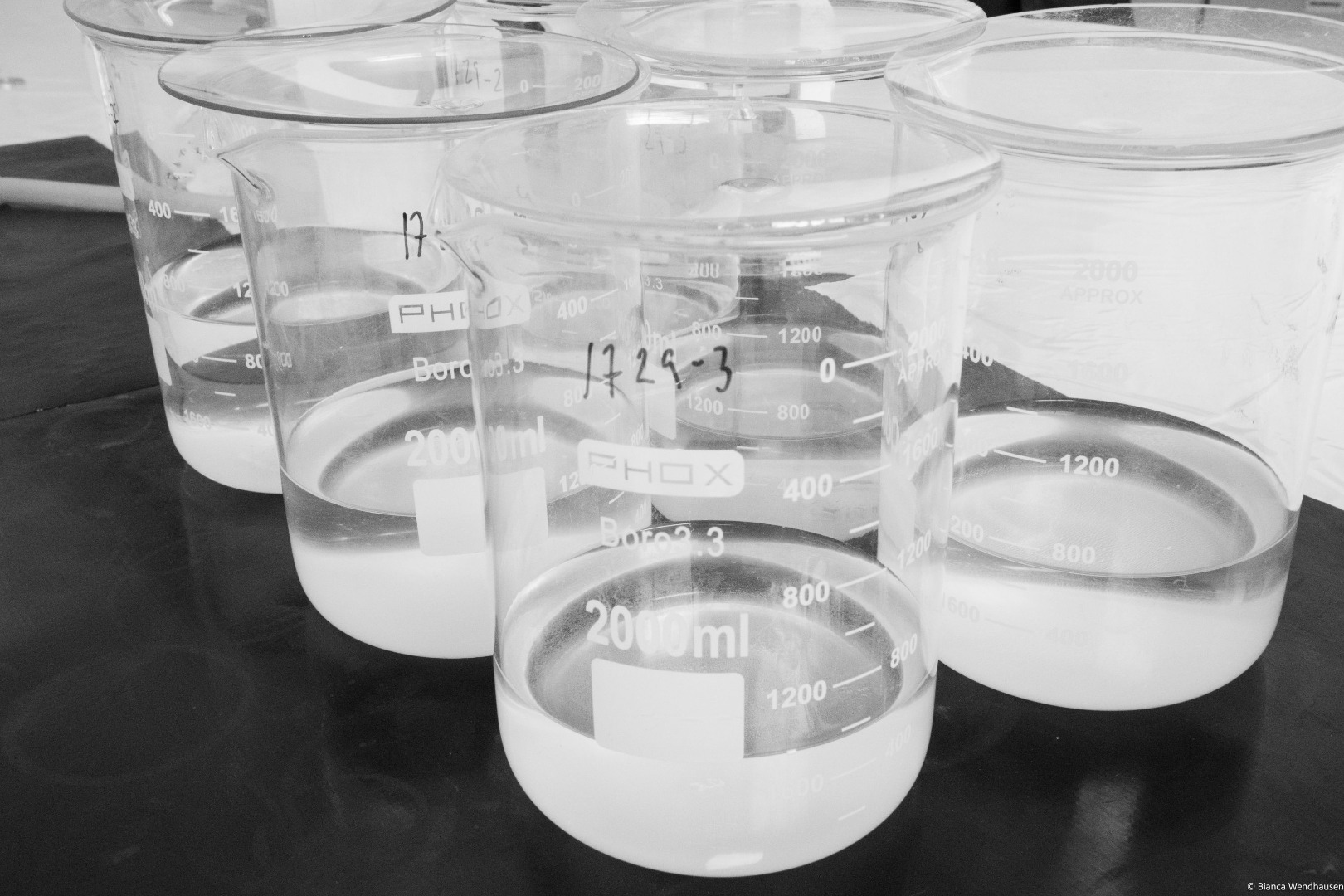  Foto do LAPOC entre 2022 e 2024 - 25