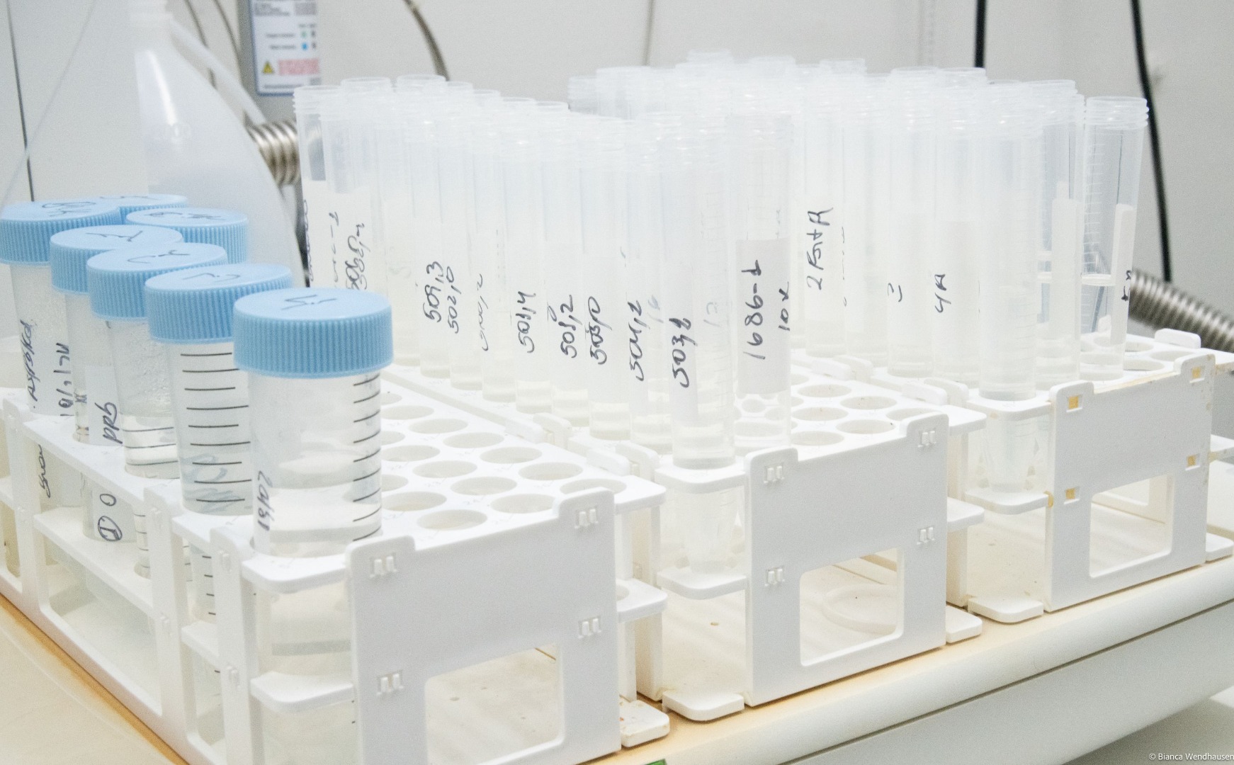  Foto do LAPOC entre 2022 e 2024 - 48