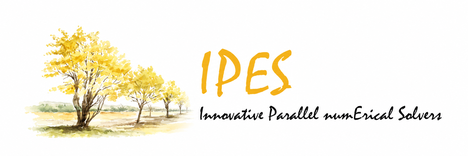 Innovative Parallel numErical Solvers