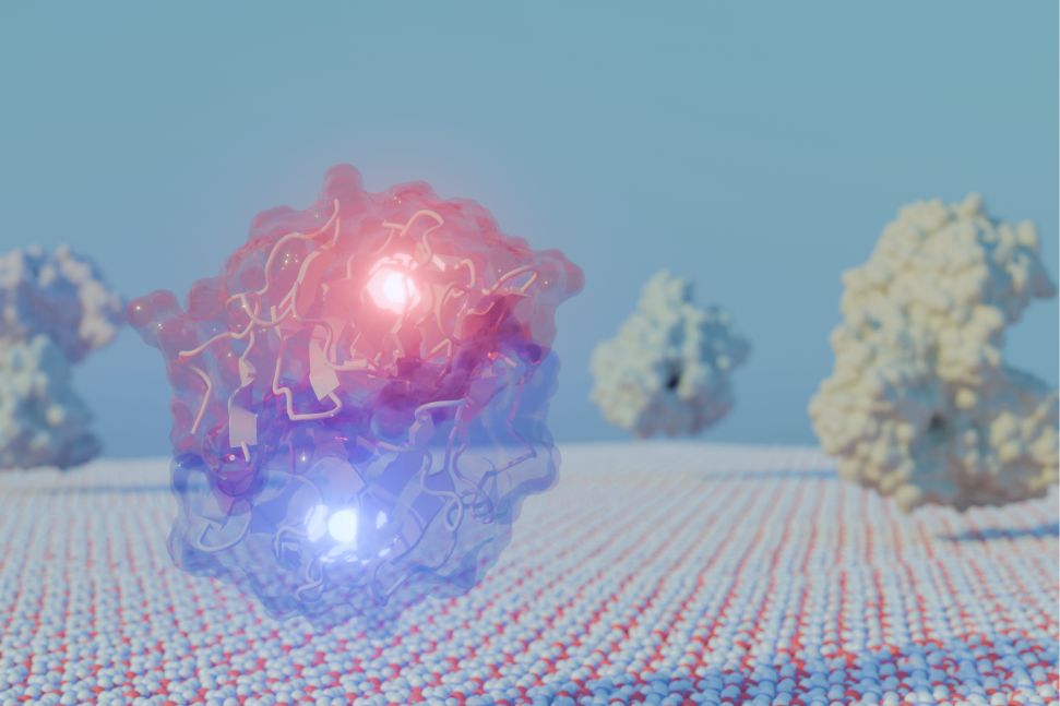 Descoberta de nova “ferramenta molecular”, com uso do supercomputador Santos Dumont, pode transformar resíduos agroindustriais em energia limpa