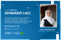 Pesquisadora da Nottingham Trent University ministra seminário no LNCC