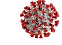 Pesquisadora do LNCC divulga nota técnica de pesquisa sobre o COVID-19