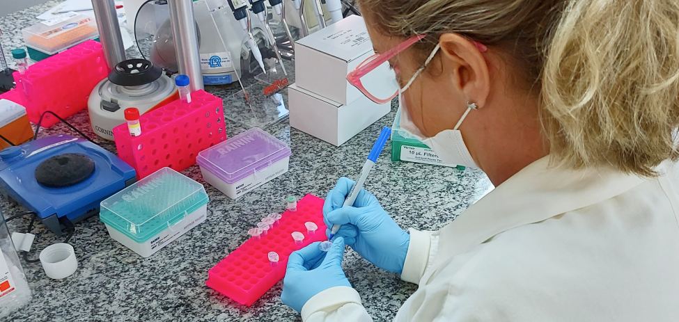 QUERO-QUERO CIÊNCIA: O passado, presente e futuro da genômica e da bioinformática: Uma pesquisa com cientistas brasileiros