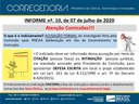 Informe N° 10 de 07.07.2020