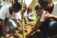 Jovens iniciam campanha de plantio no MAST