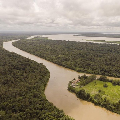 Banner Banco de Imagens 4