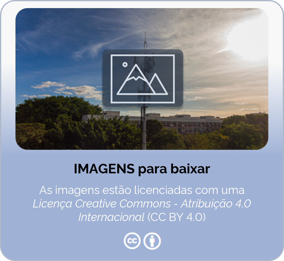 Download de Imagens