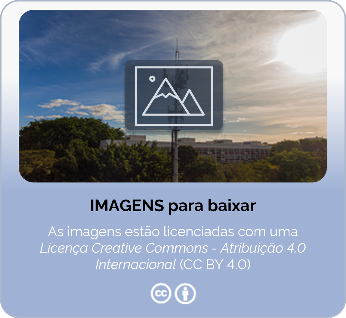 Download de Imagens