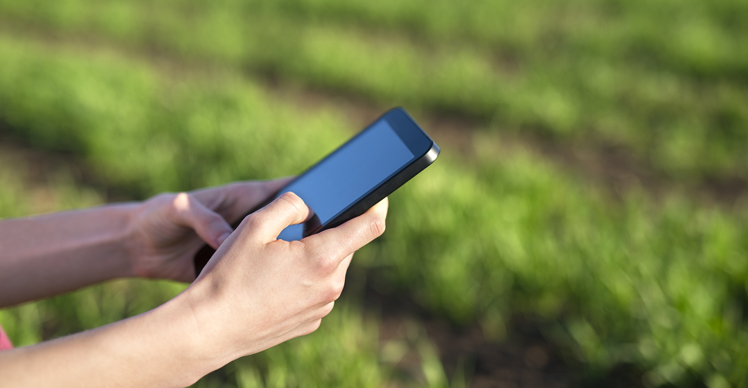 Conectividade no Agro