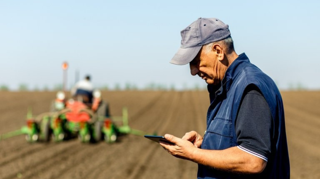 Design sem nome (40).png