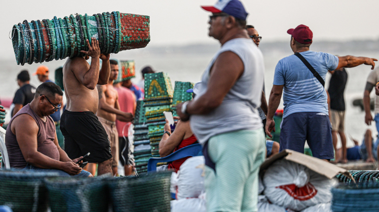 cop 30 comerciantes.png