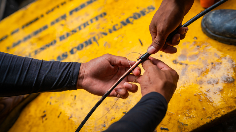 Design sem nome - 2025-09-16T165342.211.png