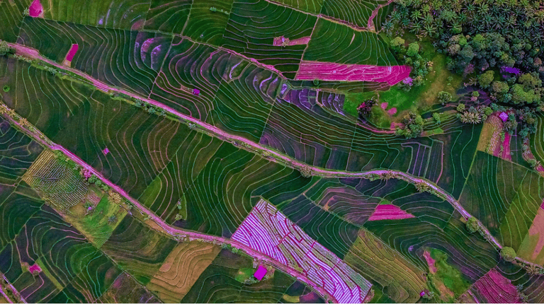 telebras df legal (1).png