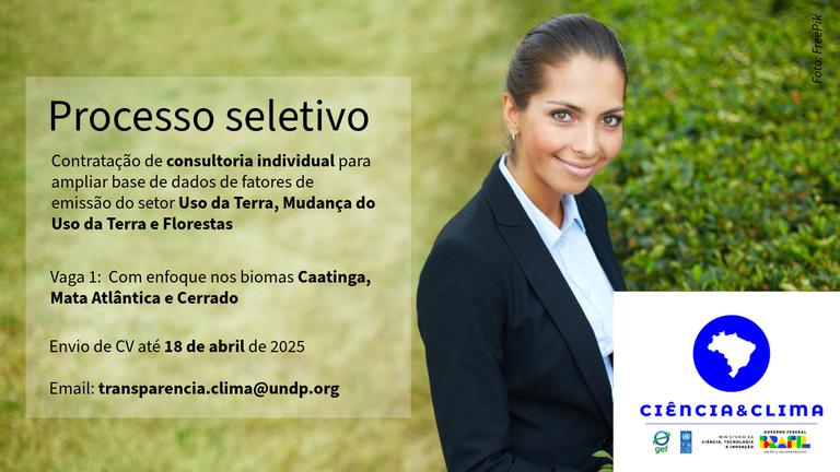 Consultoria_Individual LULUCF_Vaga1.png