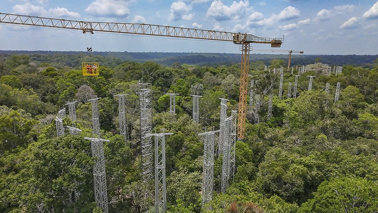 AmazonFACE publica síntese da primeira oficina de engajamento sobre interface entre ciência e políticas públicas