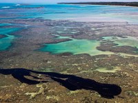 CHAMADA PÚBLICA DO MCTI E MARINHA DO BRASIL PARA ENFRENTAMENTO AO DERRAMAMENTO DE ÓLEO NA COSTA BRASILEIRA