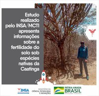 ESTUDO DO INSA/MCTI INFORMA SOBRE A FERTILIDADE DO SOLO SOB ESPÉCIES DA CAATINGA