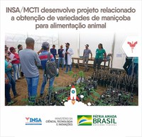 INSA/MCTI DESENVOLVE PROJETO DE OBTENÇÃO DE VARIEDADES DE MANIÇOBA PARA ALIMENTAÇÃO ANIMAL