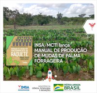 INSA/MCTI LANÇA MANUAL PARA PRODUÇÃO DE MUDAS DE PALMA FORRAGEIRA