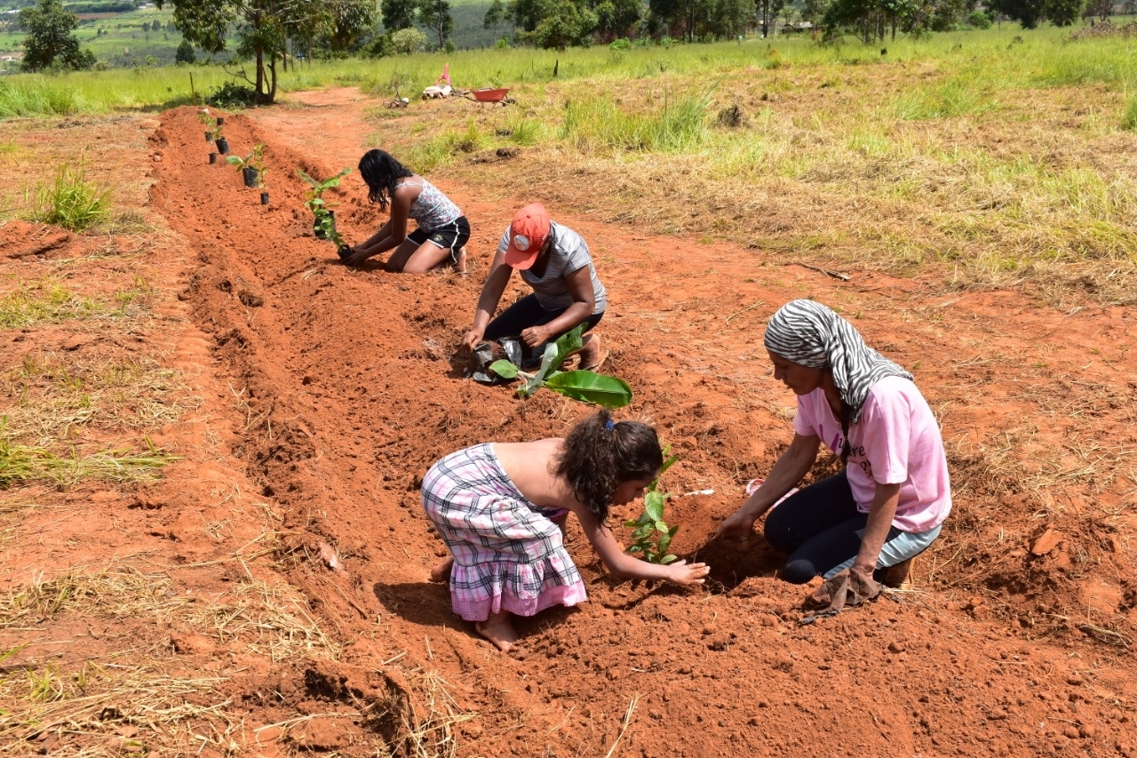 Créditos: Gabriela Fonseca CITinova SEMA-GDF