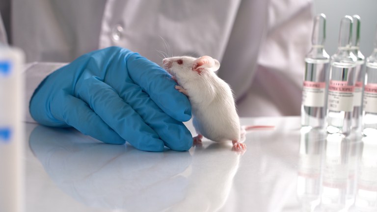 research-staff-are-injecting-the-mouse-into-animals-experimental-animals.jpg