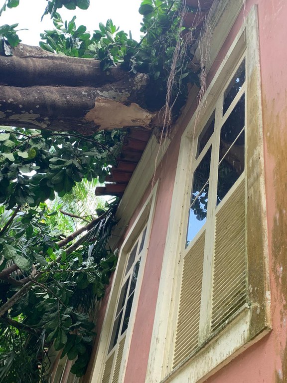 WhatsApp Image 2021-01-01 at 22.23.01 (1).jpg