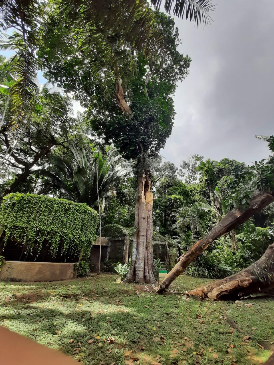 WhatsApp Image 2021-01-01 at 22.23.01.jpg