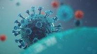 Pesquisadores pedem autorização da Anvisa para iniciar testes clínicos com soro antiCovid
