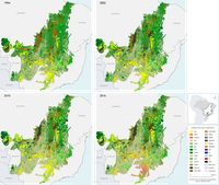MCTI apresenta como os dados de monitoramento do Cerrado foram utilizados para estimar emissões de gases de efeito estufa
