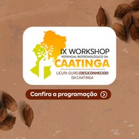 Ministério participa de workshop sobre bioeconomia na caatinga