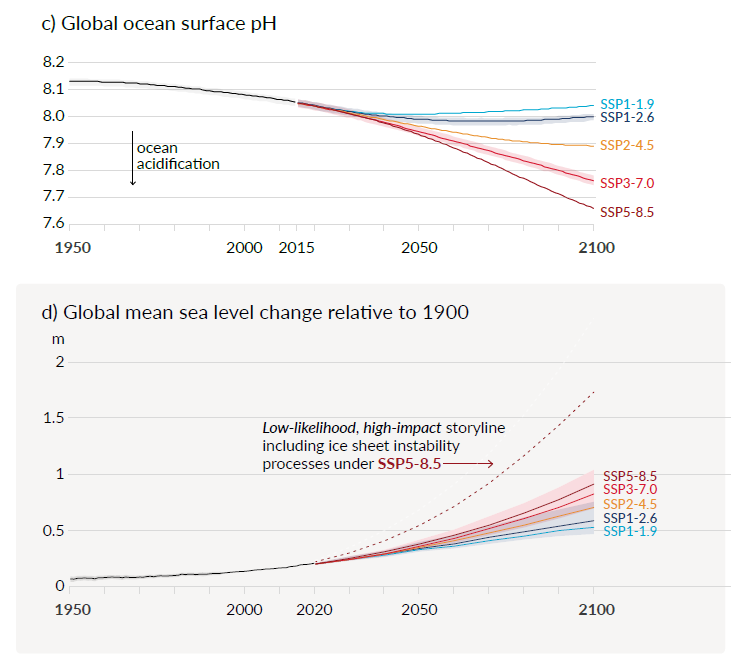 20210830 - Graficos_IPCC_WG1.png