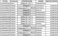 Informe vigilância Genômica - Detecção de Variantes de SARS-CoV2 em MG
