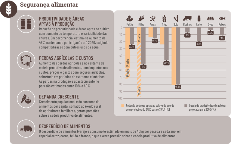 Principais_impactos_Seguranca_Alimentar.png