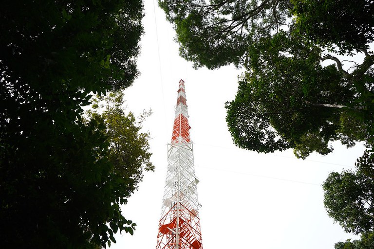 CNPq/MCTI abre chamada para apoio a projetos do Observatório da Torre Alta da Amazônia (ATTO
