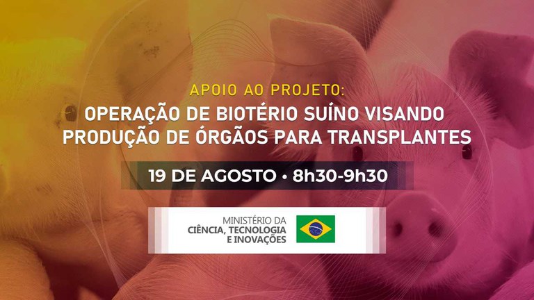 aviso de pauta novo.jpg