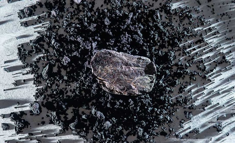 Foto: Antônio Luis Campos