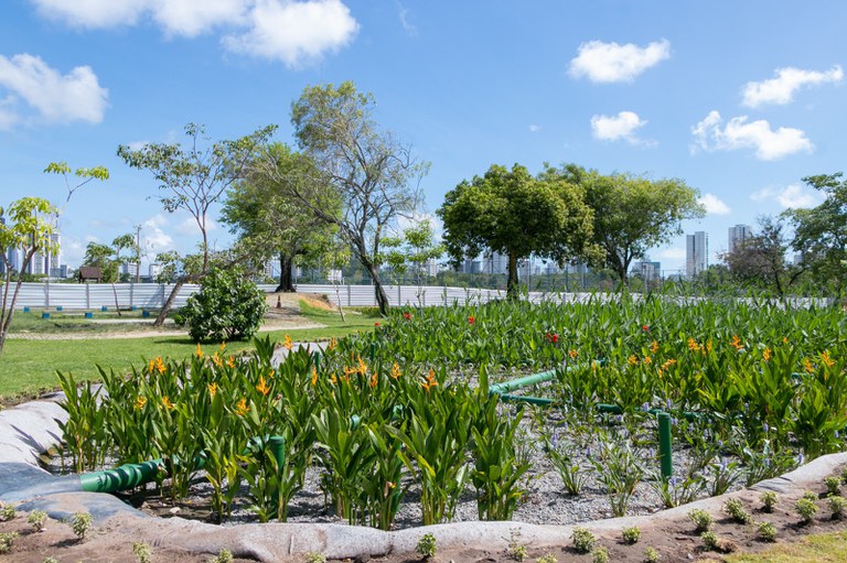 Foto: Giselle Cahú - ARIES/CITinova.