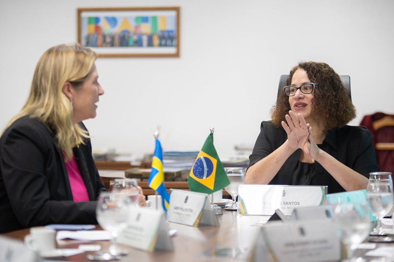 Brazil and Sweden discuss strengthening scientific cooperation – Ministry of Science, Technology and Innovation