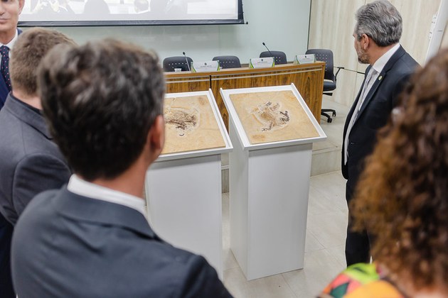 Luara Baggi (ASCOM/MCTI)