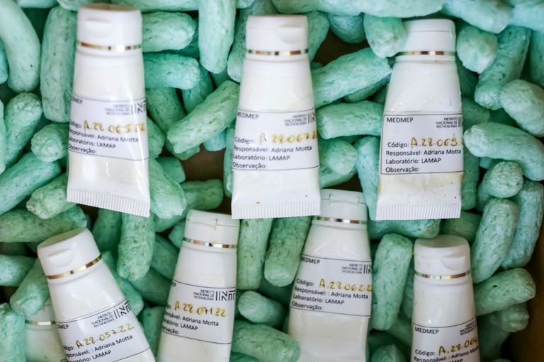 Estudo do INT desenvolve creme que conserva células-tronco para tratar de dermatites em cães_02.png