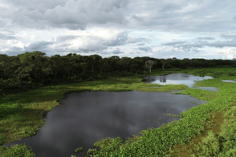 INPP promove evento em comemoração ao Dia Mundial das Zonas Úmidas.jpg