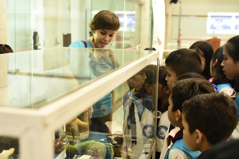 _Programação de verão confira as atividades oferecidas pelas unidades vinculadas do MCTI.png