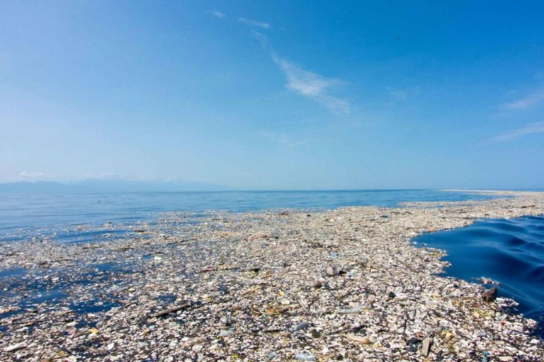 Foto Carolina Power.jpg